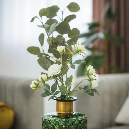 Luxrem-de 1 דירה *