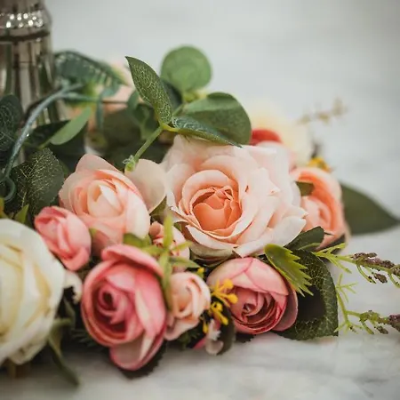 Luxrem-de 1 דירה רמשייד