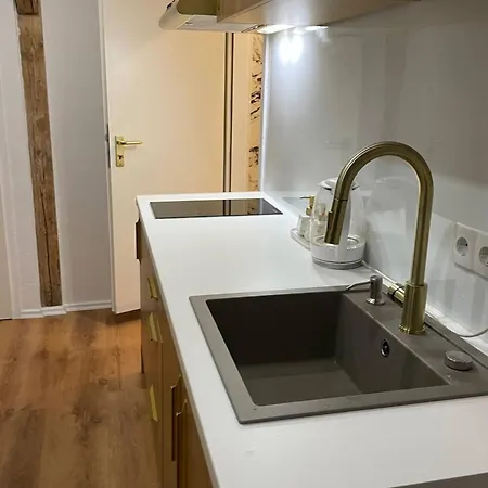 Luxrem-de 1 דירה *