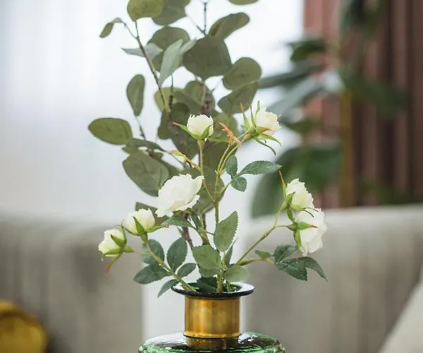 Luxrem-de 1 Appartamento *