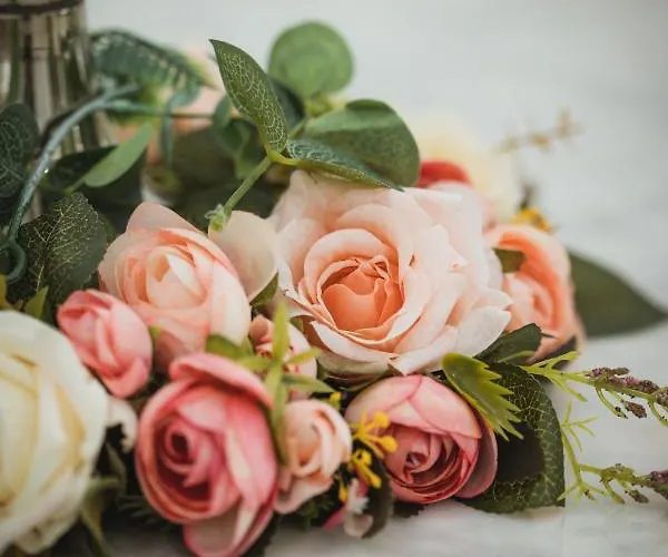 Luxrem-de 1 Appartamento Remscheid